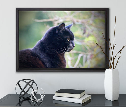 schwarze Katze auf Leinwandbild gerahmt mit Kirschblüten