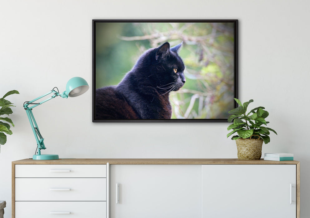 schwarze Katze auf Leinwandbild gerahmt verschiedene Größen im Wohnzimmer