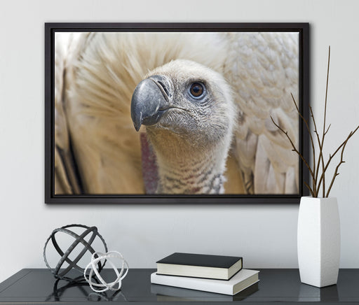 außergewöhnlicher Geier auf Leinwandbild gerahmt mit Kirschblüten