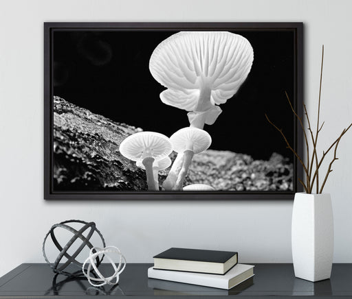 Dark weiße Pilze auf Leinwandbild gerahmt mit Kirschblüten