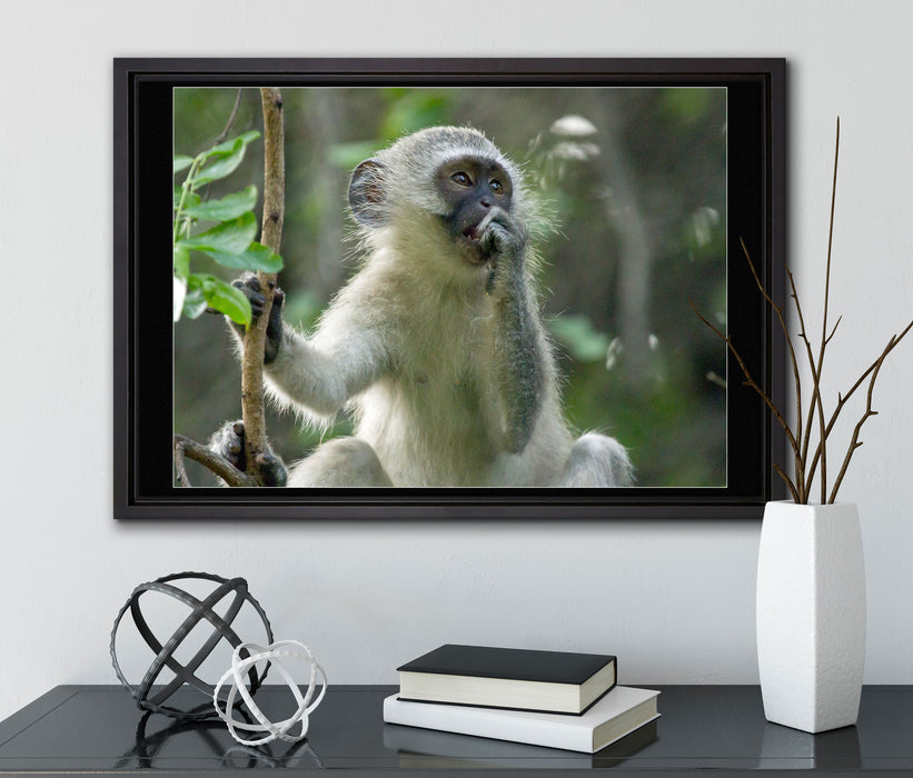junges Äffchen auf Baum auf Leinwandbild gerahmt mit Kirschblüten