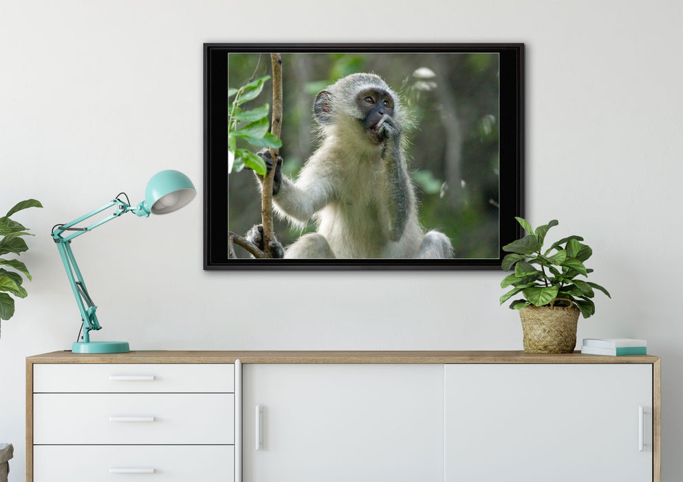junges Äffchen auf Baum auf Leinwandbild gerahmt verschiedene Größen im Wohnzimmer