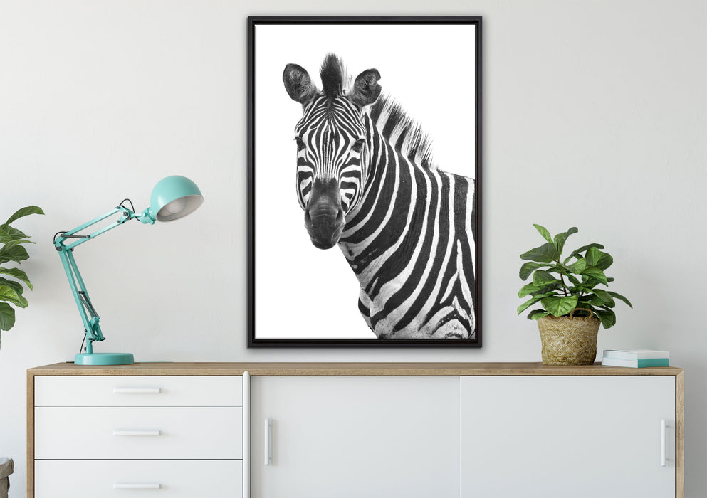 Zebra im Portrait auf Leinwandbild gerahmt verschiedene Größen im Wohnzimmer