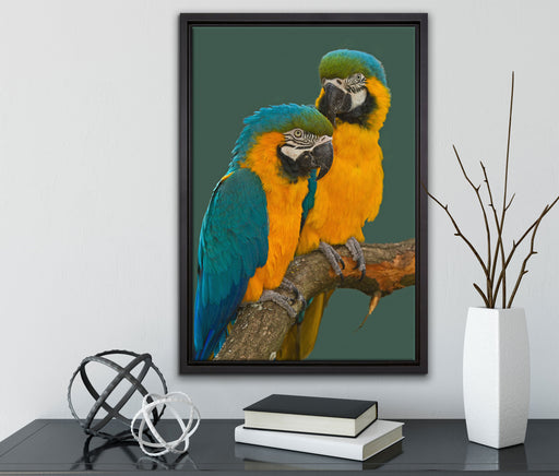 Papageienpärchen auf einem Ast auf Leinwandbild gerahmt mit Kirschblüten