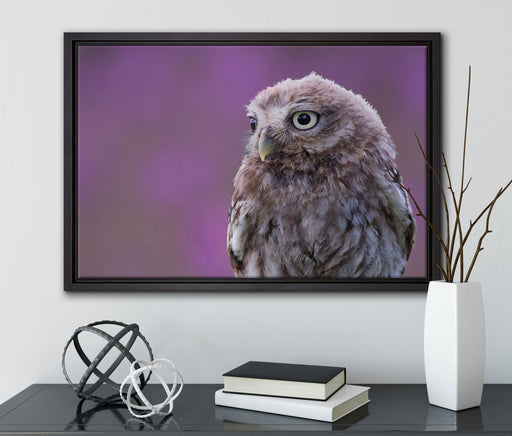 schöne junge Eule auf Leinwandbild gerahmt mit Kirschblüten
