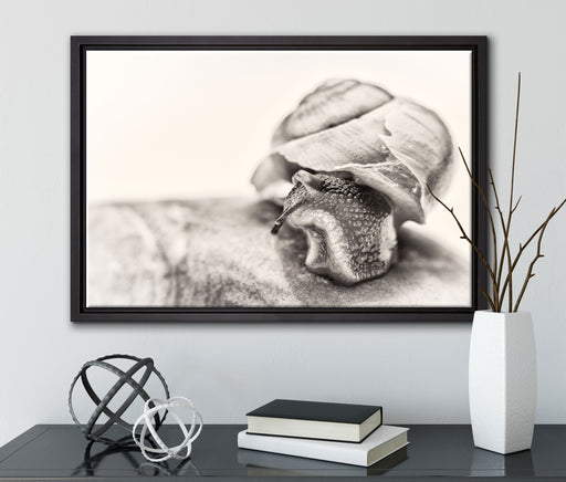 kleine Schnecke auf Leinwandbild gerahmt mit Kirschblüten