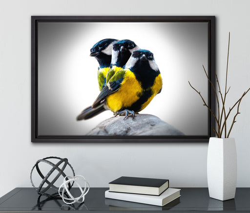 schöne Blaumeisen auf Leinwandbild gerahmt mit Kirschblüten