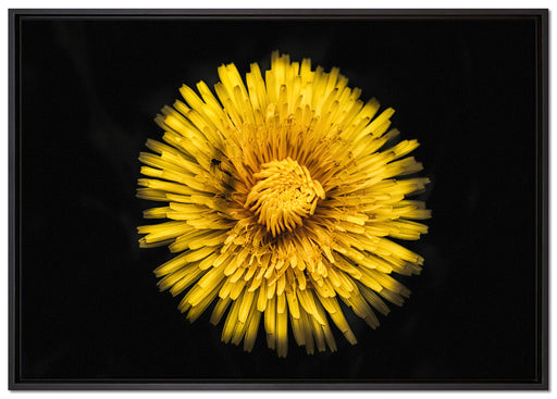 Dark prächtige gelbe Blume auf Leinwandbild gerahmt Größe 100x70