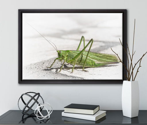 elegante Heuschrecke auf Leinwandbild gerahmt mit Kirschblüten