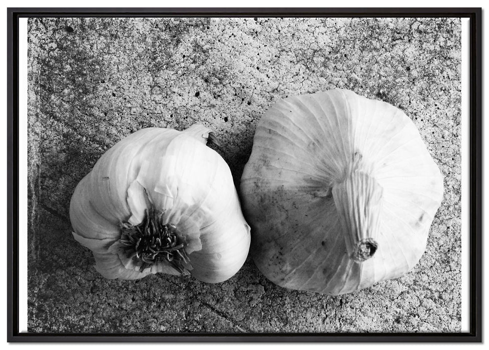 zwei Knoblauchknollen auf Leinwandbild gerahmt Größe 100x70