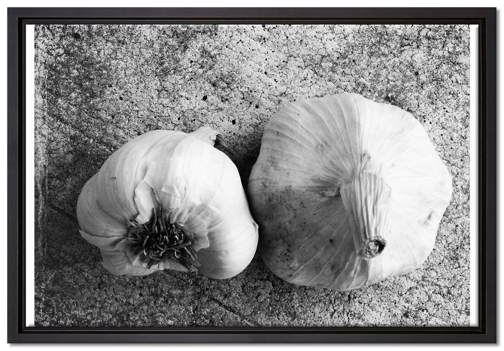 zwei Knoblauchknollen auf Leinwandbild gerahmt Größe 60x40
