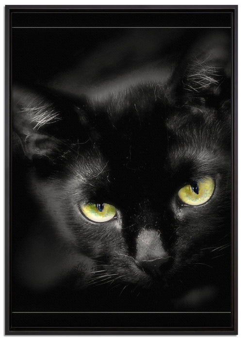 schöne schwarze Katze auf Leinwandbild gerahmt Größe 100x70