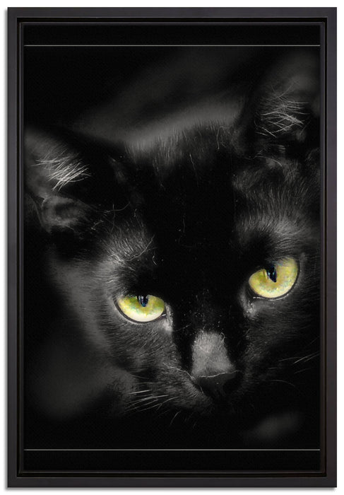 schöne schwarze Katze auf Leinwandbild gerahmt Größe 60x40