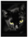schöne schwarze Katze auf Leinwandbild gerahmt Größe 80x60