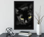 schöne schwarze Katze auf Leinwandbild gerahmt mit Kirschblüten