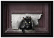 Katze durch Hundeklappe auf Leinwandbild gerahmt Größe 100x70