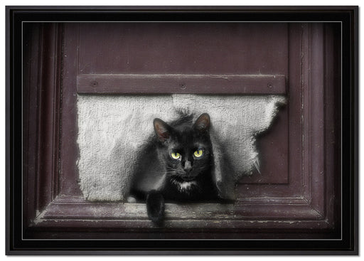 Katze durch Hundeklappe auf Leinwandbild gerahmt Größe 100x70