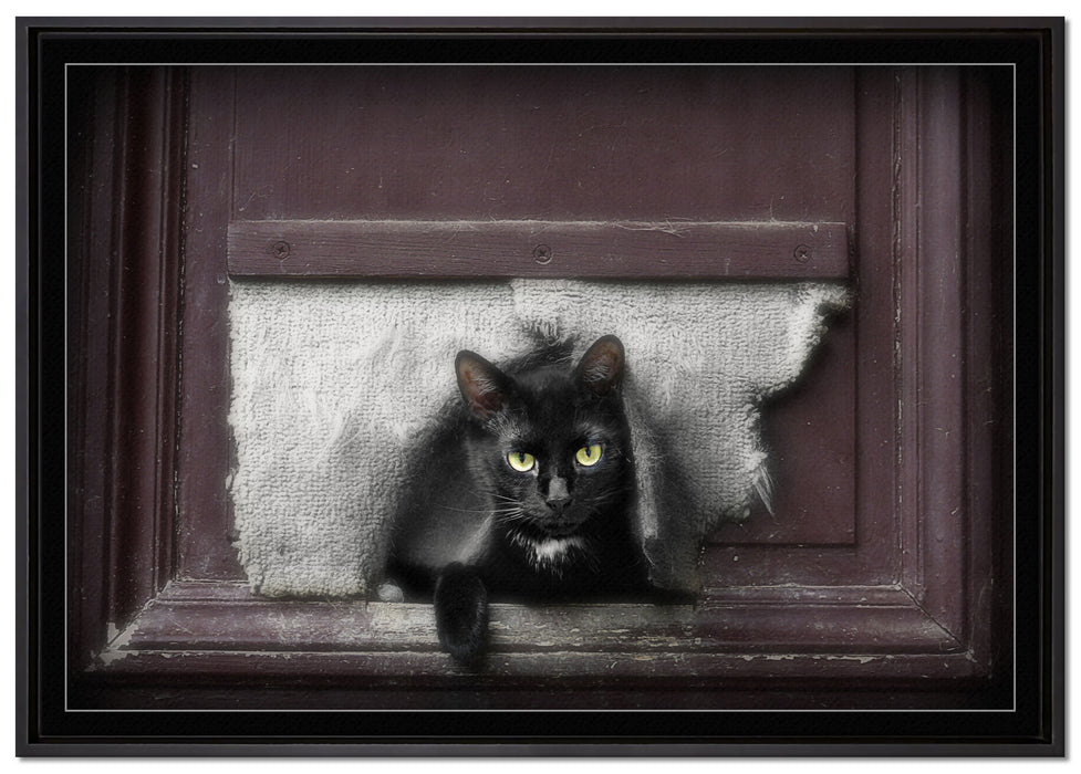 Katze durch Hundeklappe auf Leinwandbild gerahmt Größe 100x70