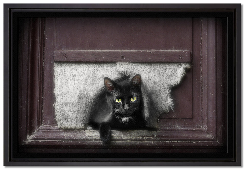 Katze durch Hundeklappe auf Leinwandbild gerahmt Größe 60x40