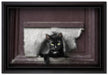 Katze durch Hundeklappe auf Leinwandbild gerahmt Größe 60x40