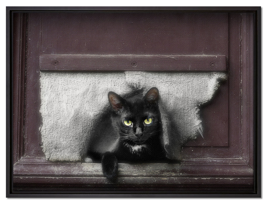 Katze durch Hundeklappe auf Leinwandbild gerahmt Größe 80x60