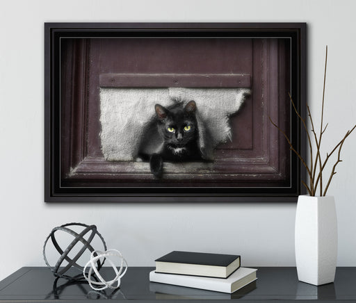 Katze durch Hundeklappe auf Leinwandbild gerahmt mit Kirschblüten