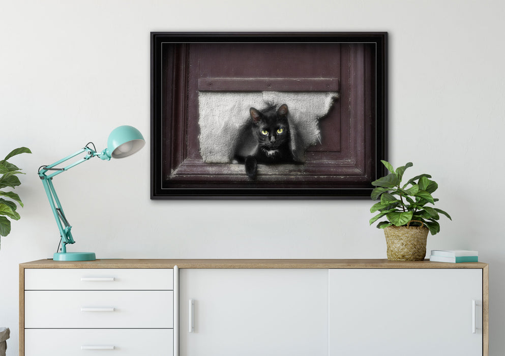 Katze durch Hundeklappe auf Leinwandbild gerahmt verschiedene Größen im Wohnzimmer