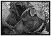 zwei Hunde im Profil auf Leinwandbild gerahmt Größe 100x70