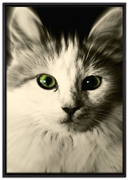 anmutige Katze auf Leinwandbild gerahmt Größe 100x70