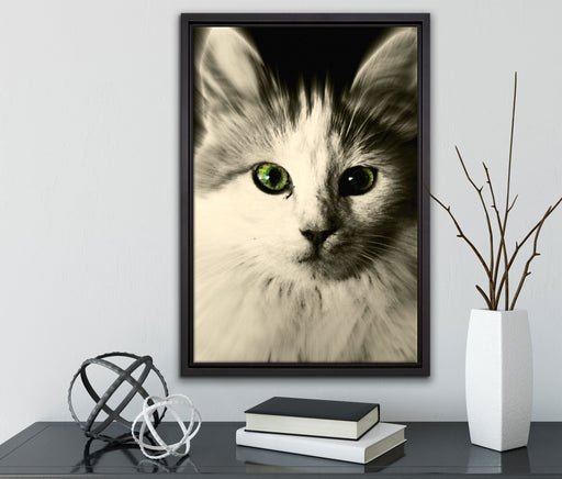 anmutige Katze auf Leinwandbild gerahmt mit Kirschblüten