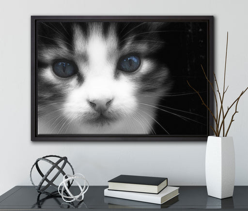 süßes junges Kätzchen auf Leinwandbild gerahmt mit Kirschblüten