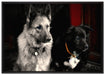 zwei Hunde auf dem Teppich auf Leinwandbild gerahmt Größe 100x70
