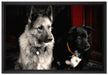 zwei Hunde auf dem Teppich auf Leinwandbild gerahmt Größe 60x40