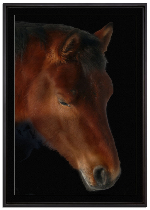 majestätisches Pferd auf Leinwandbild gerahmt Größe 100x70