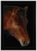 majestätisches Pferd auf Leinwandbild gerahmt Größe 100x70