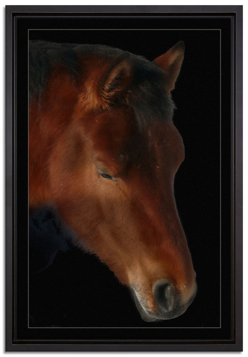 majestätisches Pferd auf Leinwandbild gerahmt Größe 60x40
