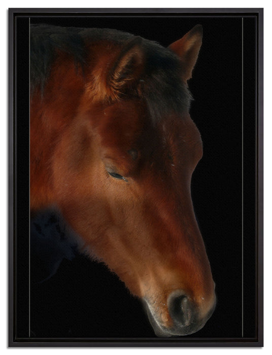 majestätisches Pferd auf Leinwandbild gerahmt Größe 80x60