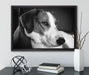 Jack Russel Terrier ruht sich aus auf Leinwandbild gerahmt mit Kirschblüten