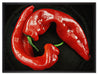 scharfe Chilischoten auf Leinwandbild gerahmt Größe 80x60