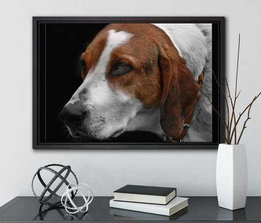 hübscher Hund im Seitenprofil auf Leinwandbild gerahmt mit Kirschblüten