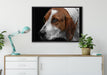 hübscher Hund im Seitenprofil auf Leinwandbild gerahmt verschiedene Größen im Wohnzimmer