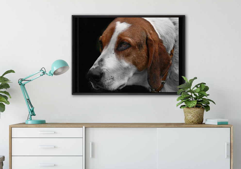 hübscher Hund im Seitenprofil auf Leinwandbild gerahmt verschiedene Größen im Wohnzimmer