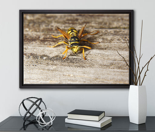 kleine Biene auf Holz auf Leinwandbild gerahmt mit Kirschblüten