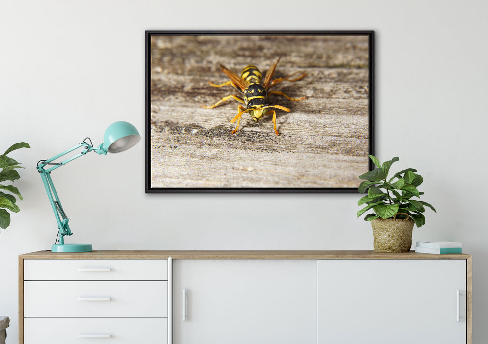 kleine Biene auf Holz auf Leinwandbild gerahmt verschiedene Größen im Wohnzimmer