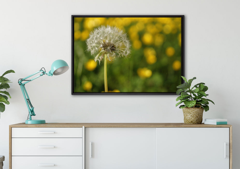 Pusteblume vor Wildwiese auf Leinwandbild gerahmt verschiedene Größen im Wohnzimmer