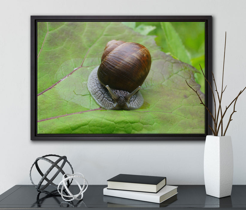 kleine Schnecke mit Schneckenhaus auf Leinwandbild gerahmt mit Kirschblüten