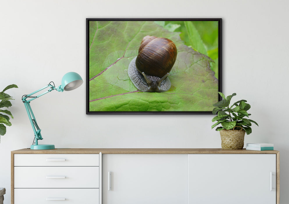 kleine Schnecke mit Schneckenhaus auf Leinwandbild gerahmt verschiedene Größen im Wohnzimmer