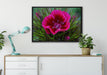 schöne pinkfarbene Blüte auf Leinwandbild gerahmt verschiedene Größen im Wohnzimmer