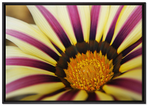 wunderbare gestreifte Blüte auf Leinwandbild gerahmt Größe 100x70