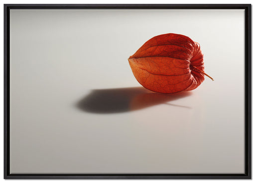 kleine Physalis auf Leinwandbild gerahmt Größe 100x70